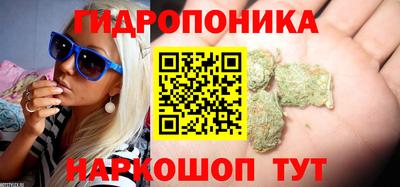 ГАЛЛЮЦИНОГЕННЫЕ ГРИБЫ Краснодар
